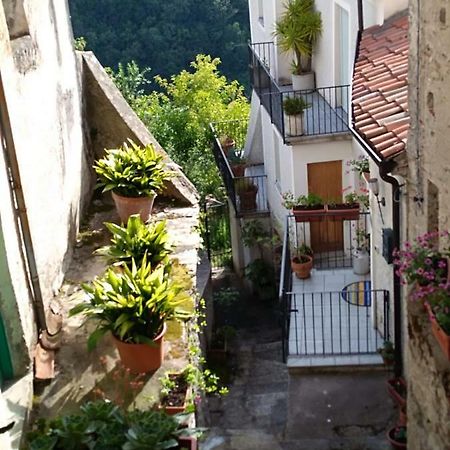 B&B Lo Straniero Rivello Exteriér fotografie